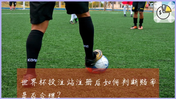 世界杯投注站注册后如何判断赔率是否合理？