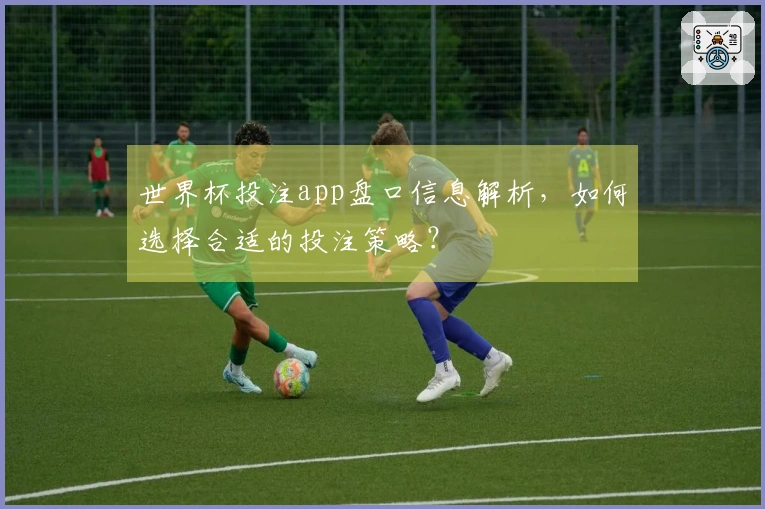 世界杯投注app盘口信息解析，如何选择合适的投注策略？