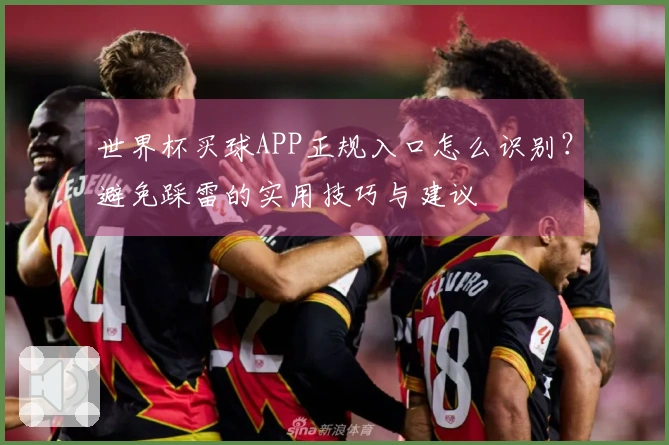 世界杯买球APP正规入口怎么识别？避免踩雷的实用技巧与建议