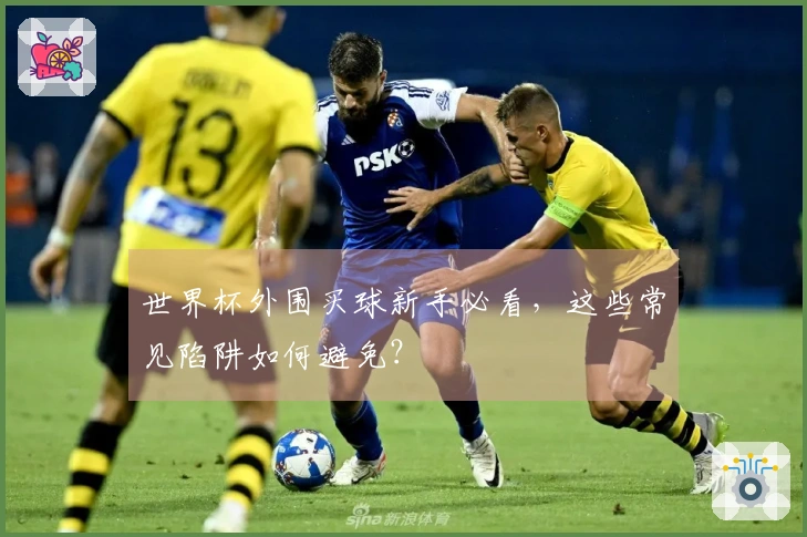 世界杯外围买球新手必看，这些常见陷阱如何避免？