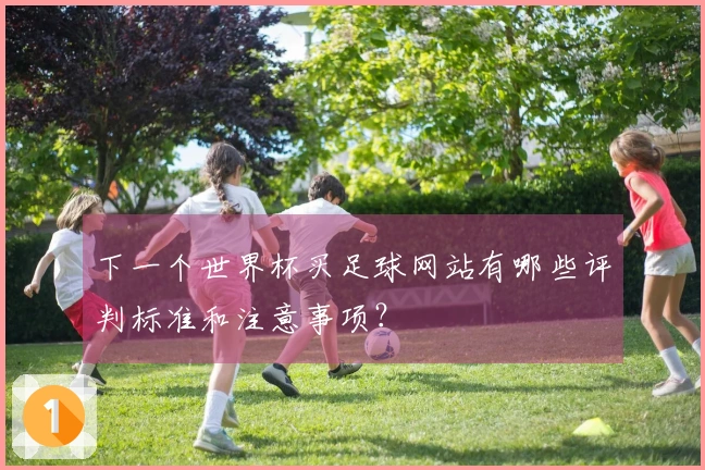 下一个世界杯买足球网站有哪些评判标准和注意事项？