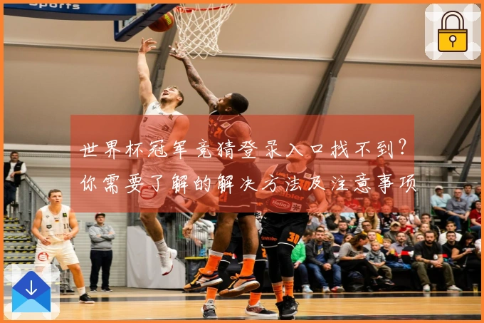 世界杯冠军竞猜登录入口找不到？你需要了解的解决方法及注意事项