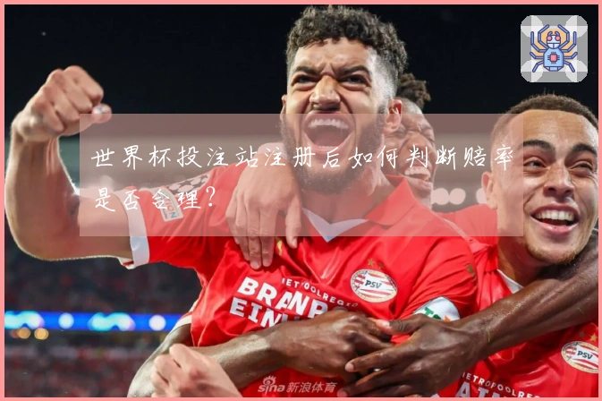世界杯投注站注册后如何判断赔率是否合理？