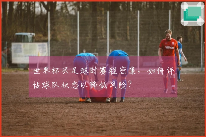 世界杯买足球时赛程密集，如何评估球队状态以降低风险？