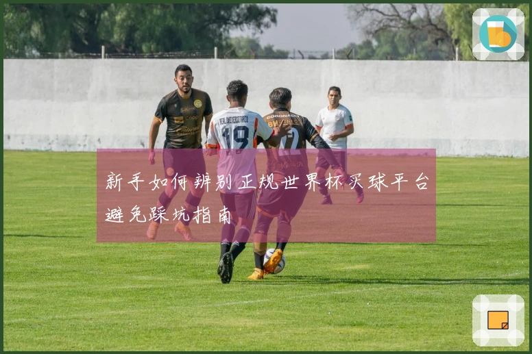 新手如何辨别正规世界杯买球平台避免踩坑指南