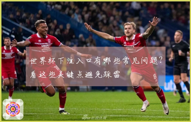 世界杯下注入口有哪些常见问题？看这些关键点避免踩雷