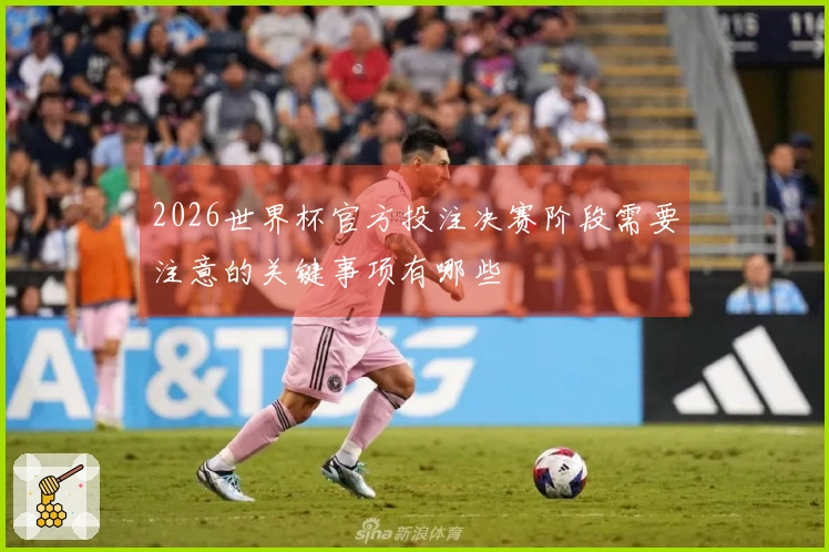 2026世界杯官方投注决赛阶段需要注意的关键事项有哪些