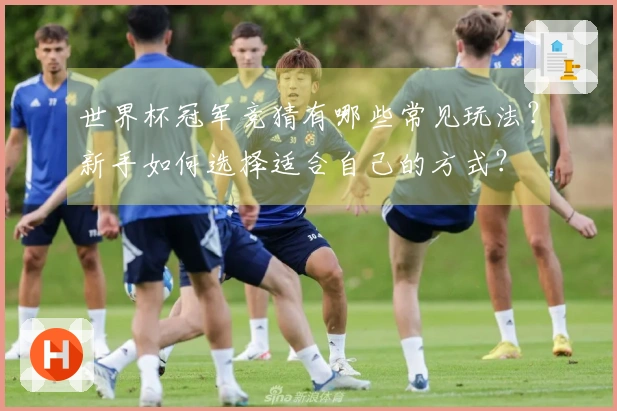 世界杯冠军竞猜有哪些常见玩法？新手如何选择适合自己的方式？