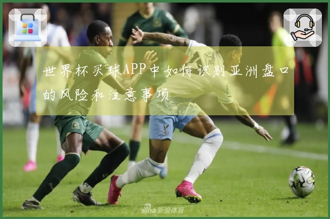 世界杯买球APP中如何识别亚洲盘口的风险和注意事项