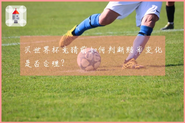 买世界杯竞猜前如何判断赔率变化是否合理？