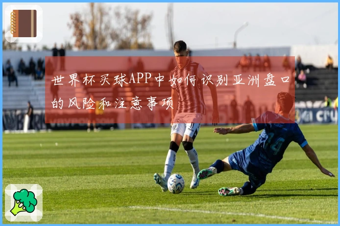 世界杯买球APP中如何识别亚洲盘口的风险和注意事项