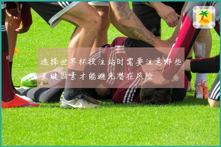 选择世界杯投注站时需要注意哪些关键因素才能避免潜在风险