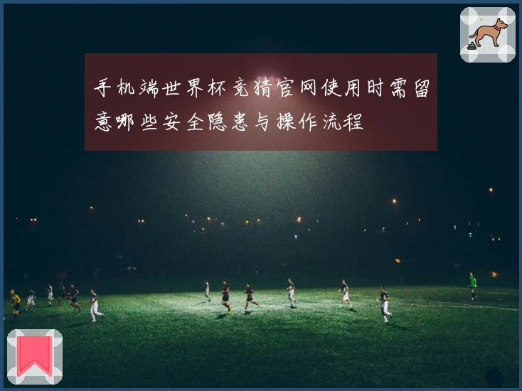 手机端世界杯竞猜官网使用时需留意哪些安全隐患与操作流程
