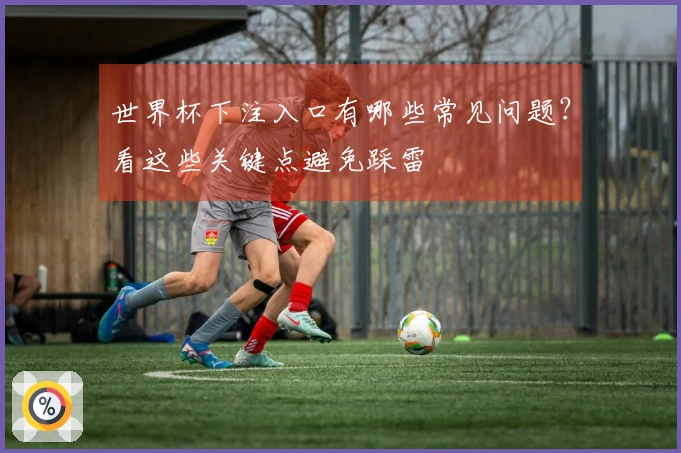 世界杯下注入口有哪些常见问题？看这些关键点避免踩雷