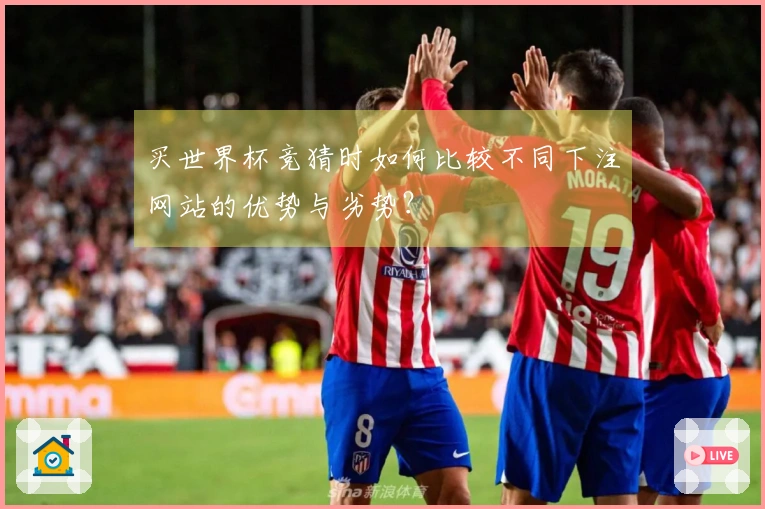 买世界杯竞猜时如何比较不同下注网站的优势与劣势？
