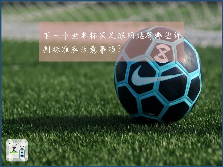 下一个世界杯买足球网站有哪些评判标准和注意事项？