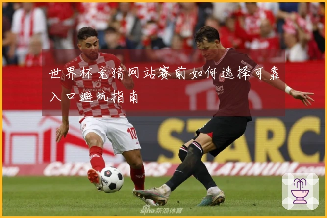 世界杯竞猜网站赛前如何选择可靠入口避坑指南